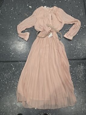 Zara Blush Pink Pleated Long-Sleeve Maxi Dress